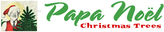 papa-logo